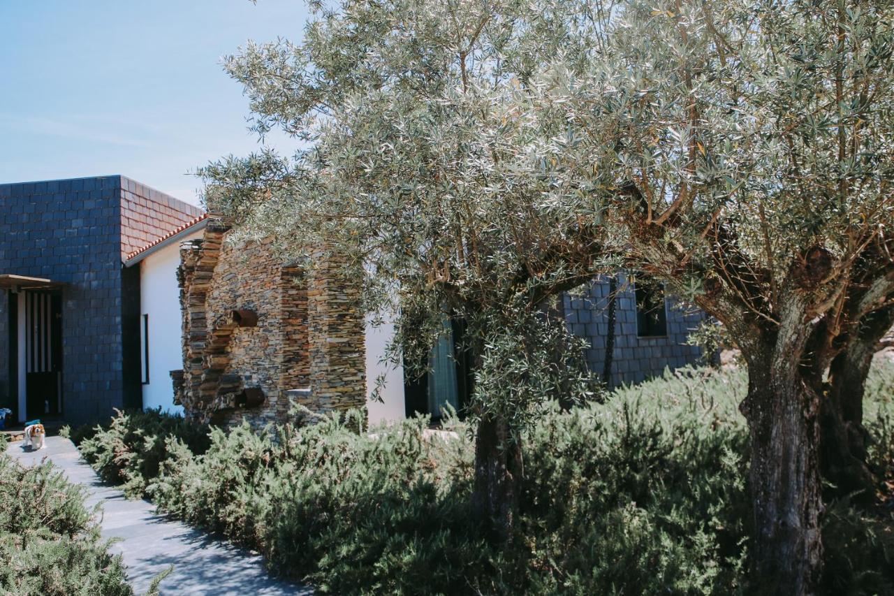 Casas Da Fontanheira Marvao (Portalegre)